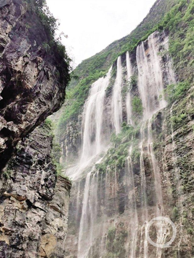 平湖精心描绘“未来乡村”和美场景